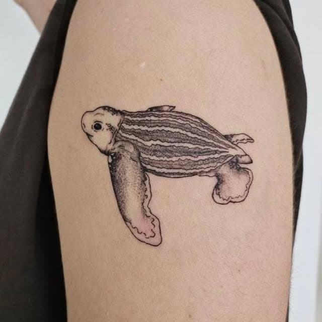 tatoo d'une tortue